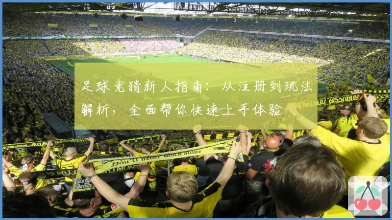 足球竞猜新人指南：从注册到玩法解析，全面帮你快速上手体验