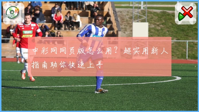 中彩网网页版怎么用？超实用新人指南助你快速上手