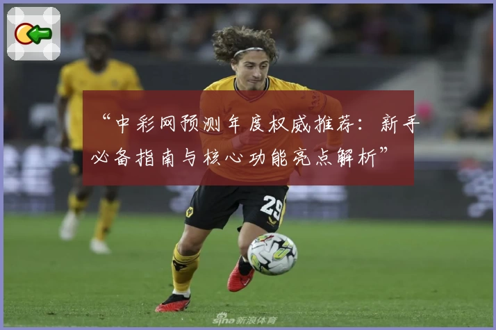 “中彩网预测年度权威推荐：新手必备指南与核心功能亮点解析”