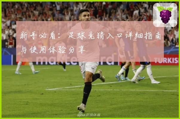 新手必看：足球竞猜入口详细指南与使用体验分享